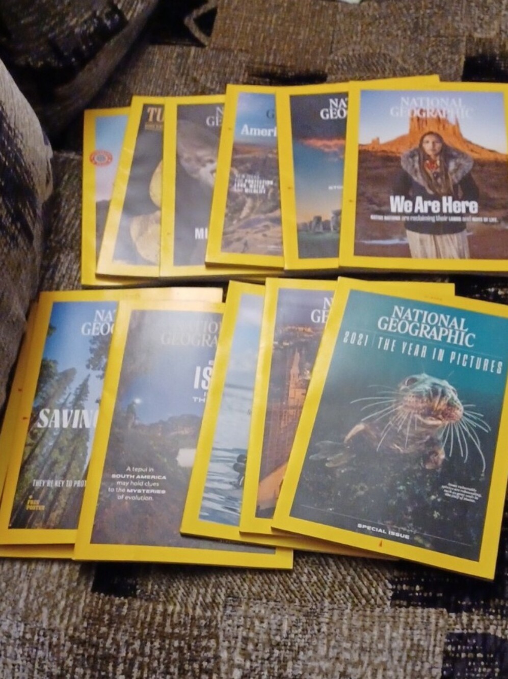 $4 Add-on 2022 National Geographic Magazines - $4 Each (All 12 Available)